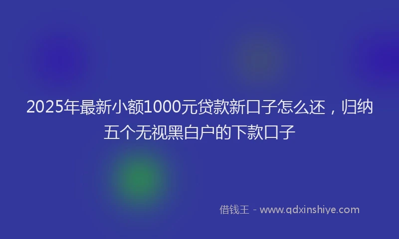 2025年最新小额1000元贷款新口子怎么还，归纳五个无视黑白户的下款口子