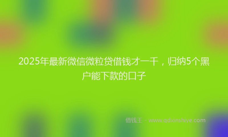 2025年最新微信微粒贷借钱才一千，归纳5个黑户能下款的口子