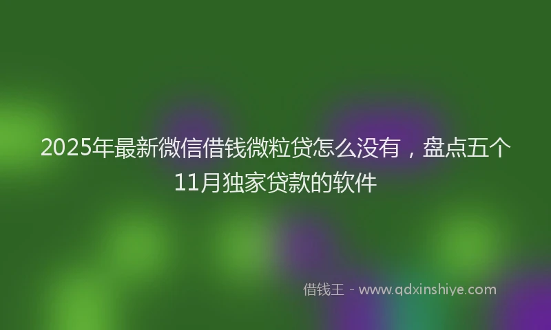 2025年最新微信借钱微粒贷怎么没有，盘点五个11月独家贷款的软件