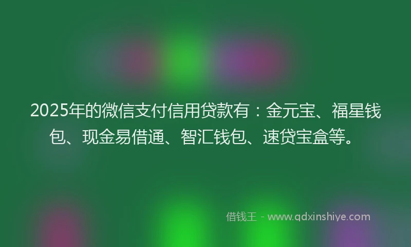 2025年的微信支付信用贷款有：金元宝、福星钱包、现金易借通、智汇钱包、速贷宝盒等。