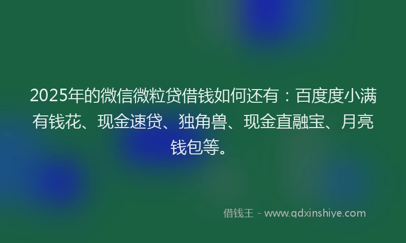 2025年的微信微粒贷借钱如何还有：百度度小满有钱花、现金速贷、独角兽、现金直融宝、月亮钱包等。