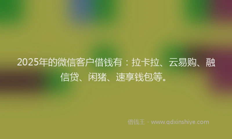 2025年的微信客户借钱有：拉卡拉、云易购、融信贷、闲猪、速享钱包等。