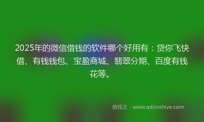 2025年的微信借钱的软件哪个好用有：贷你飞快借、有钱钱包、宝盈商城、翡翠分期、百度有钱花等。
