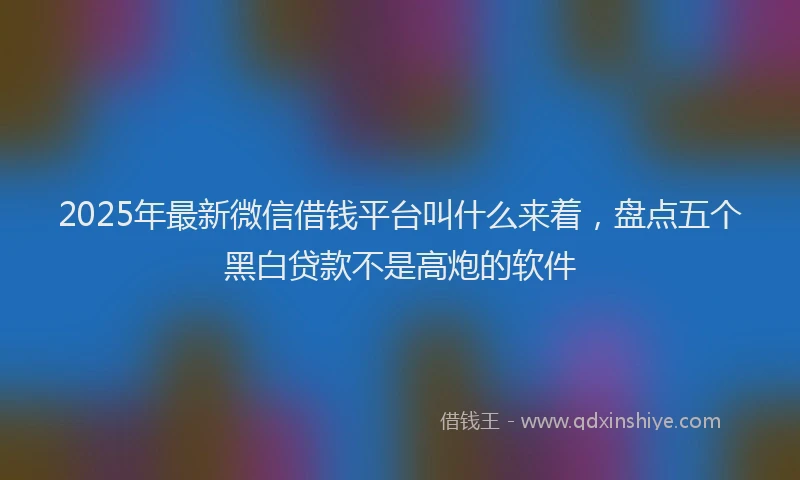 2025年最新微信借钱平台叫什么来着，盘点五个黑白贷款不是高炮的软件