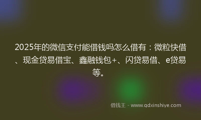 2025年的微信支付能借钱吗怎么借有：微粒快借、现金贷易借宝、鑫融钱包+、闪贷易借、e贷易等。