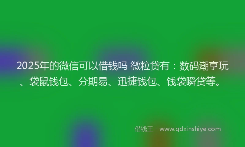 2025年的微信可以借钱吗 微粒贷有：数码潮享玩、袋鼠钱包、分期易、迅捷钱包、钱袋瞬贷等。