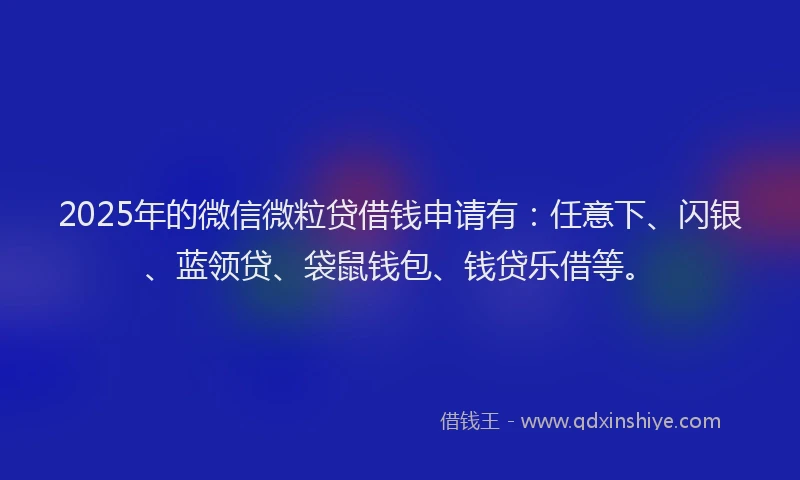 2025年的微信微粒贷借钱申请有：任意下、闪银、蓝领贷、袋鼠钱包、钱贷乐借等。
