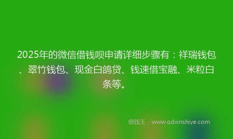 2025年的微信借钱呗申请详细步骤有：祥瑞钱包、翠竹钱包、现金白鸽贷、钱速借宝融、米粒白条等。
