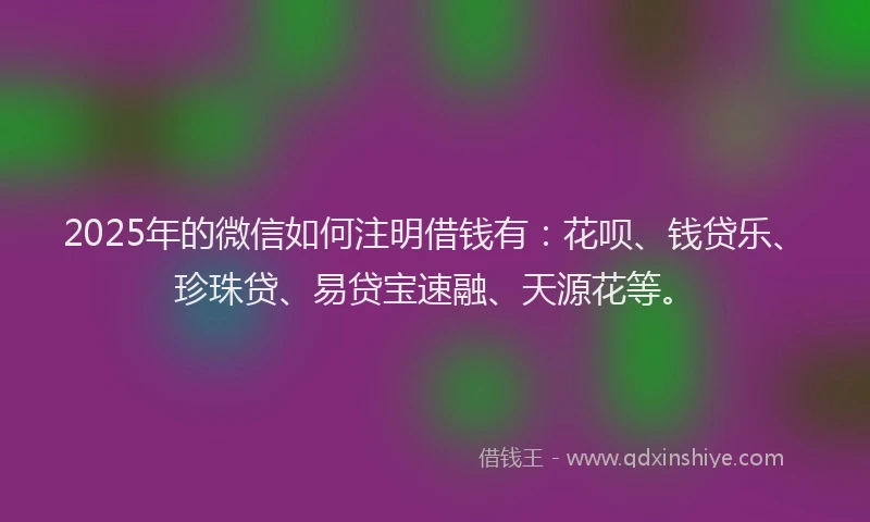 2025年的微信如何注明借钱有：花呗、钱贷乐、珍珠贷、易贷宝速融、天源花等。