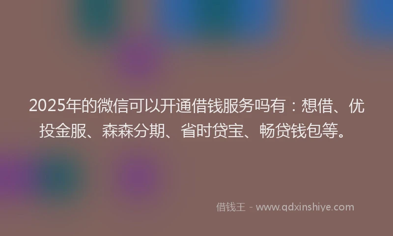 2025年的微信可以开通借钱服务吗有：想借、优投金服、森森分期、省时贷宝、畅贷钱包等。