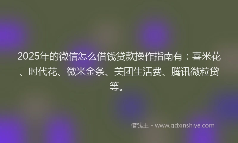 2025年的微信怎么借钱贷款操作指南有：喜米花、时代花、微米金条、美团生活费、腾讯微粒贷等。