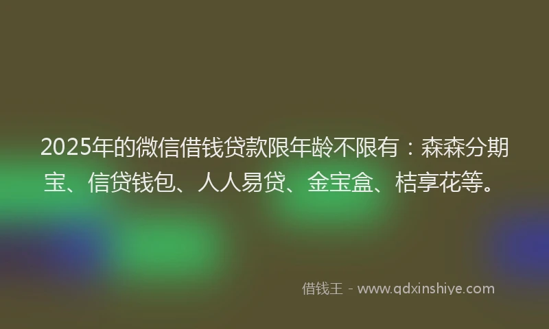 2025年的微信借钱贷款限年龄不限有：森森分期宝、信贷钱包、人人易贷、金宝盒、桔享花等。