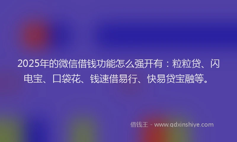 2025年的微信借钱功能怎么强开有：粒粒贷、闪电宝、口袋花、钱速借易行、快易贷宝融等。