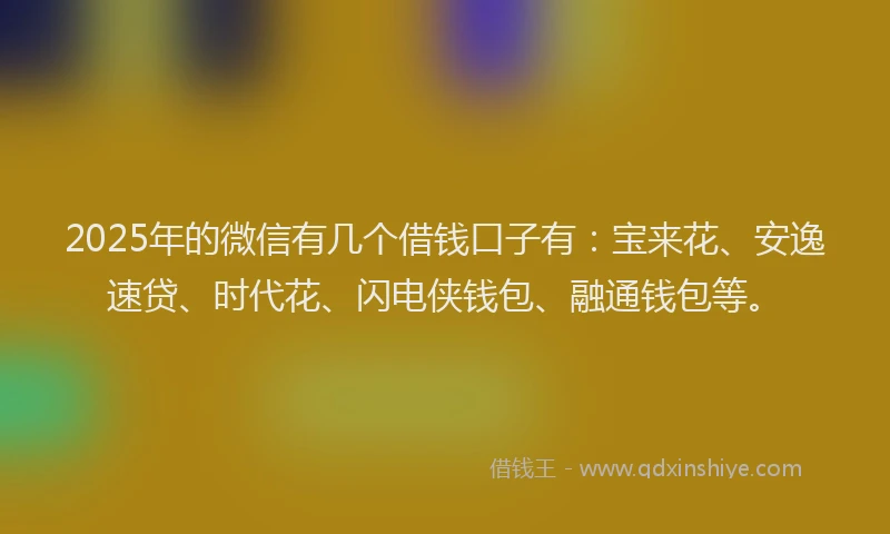 2025年的微信有几个借钱口子有：宝来花、安逸速贷、时代花、闪电侠钱包、融通钱包等。