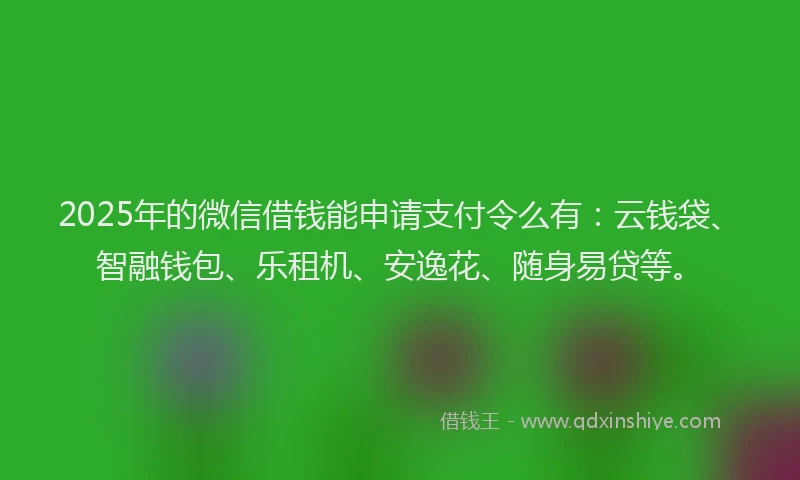 2025年的微信借钱能申请支付令么有：云钱袋、智融钱包、乐租机、安逸花、随身易贷等。
