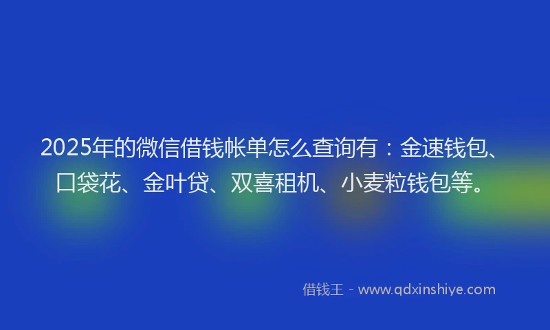 2025年的微信借钱帐单怎么查询有：金速钱包、口袋花、金叶贷、双喜租机、小麦粒钱包等。