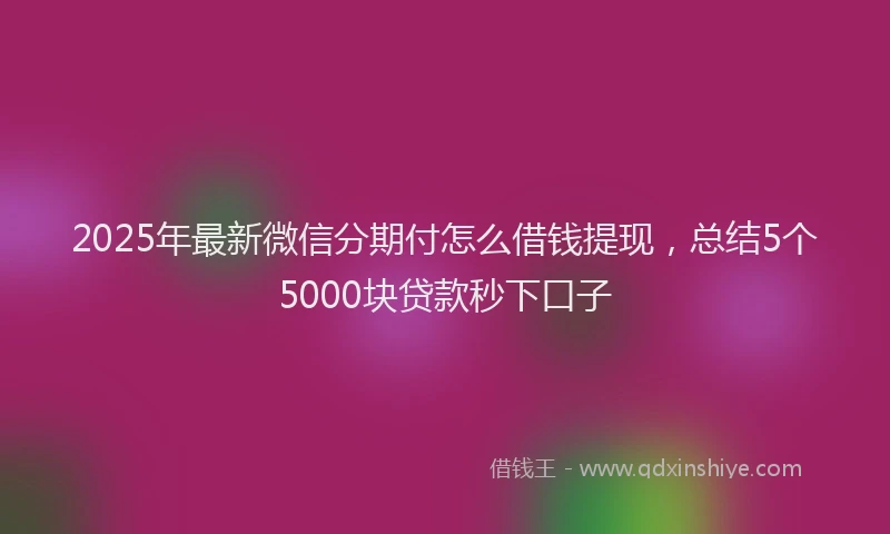 2025年最新微信分期付怎么借钱提现，总结5个5000块贷款秒下口子