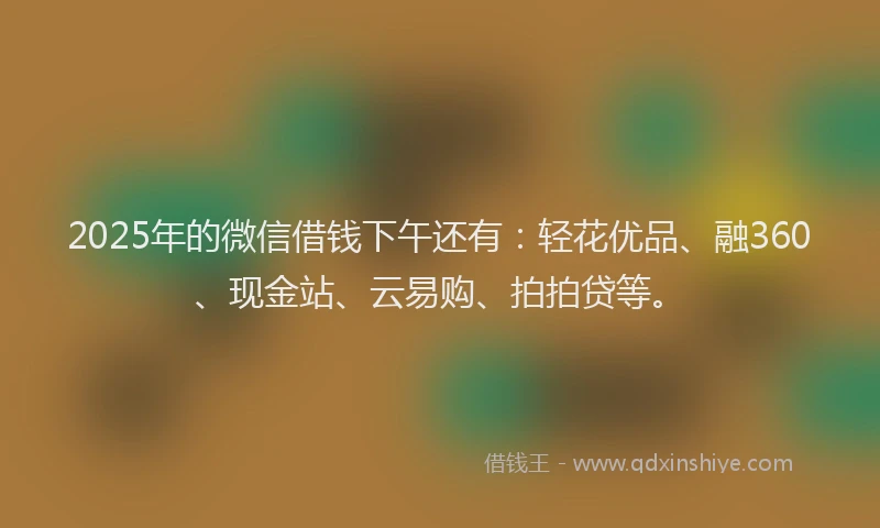 2025年的微信借钱下午还有：轻花优品、融360、现金站、云易购、拍拍贷等。