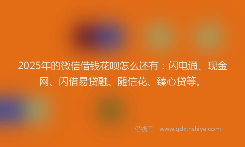 2025年的微信借钱花呗怎么还有：闪电通、现金网、闪借易贷融、随信花、臻心贷等。