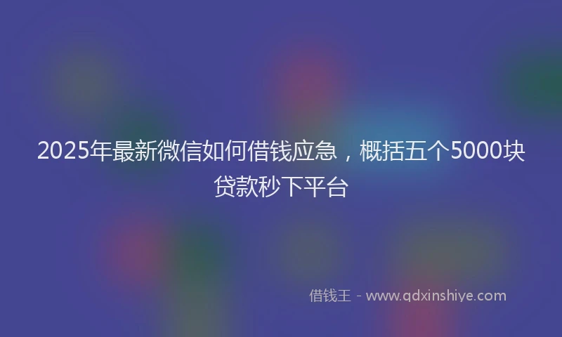 2025年最新微信如何借钱应急，概括五个5000块贷款秒下平台
