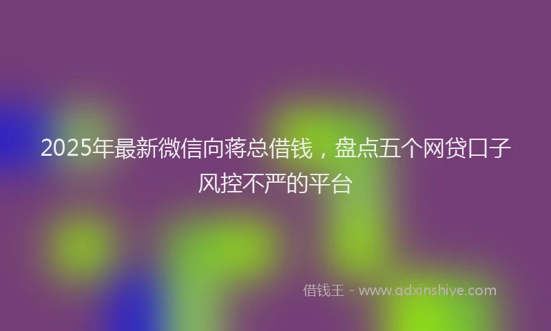 2025年最新微信向蒋总借钱，盘点五个网贷口子风控不严的平台