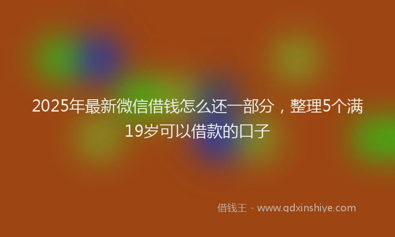 2025年最新微信借钱怎么还一部分，整理5个满19岁可以借款的口子