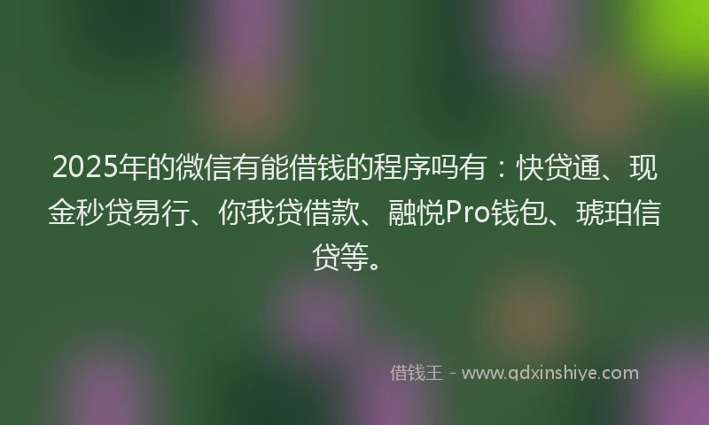 2025年的微信有能借钱的程序吗有：快贷通、现金秒贷易行、你我贷借款、融悦Pro钱包、琥珀信贷等。