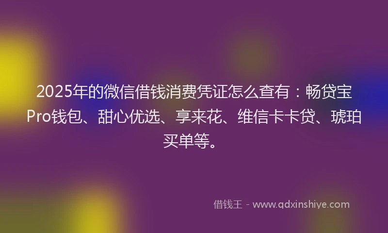 2025年的微信借钱消费凭证怎么查有：畅贷宝Pro钱包、甜心优选、享来花、维信卡卡贷、琥珀买单等。