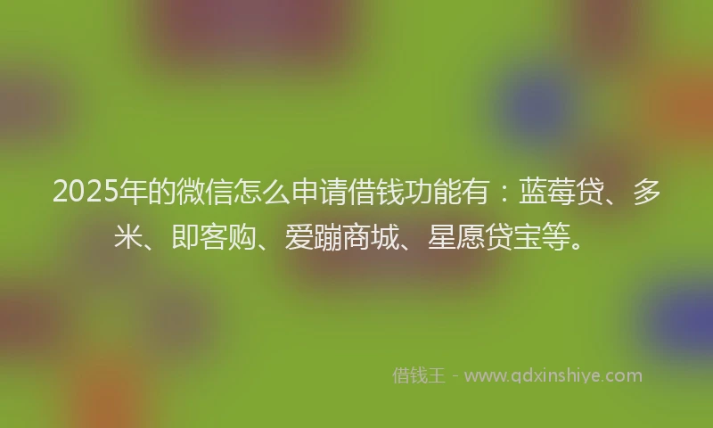 2025年的微信怎么申请借钱功能有：蓝莓贷、多米、即客购、爱蹦商城、星愿贷宝等。