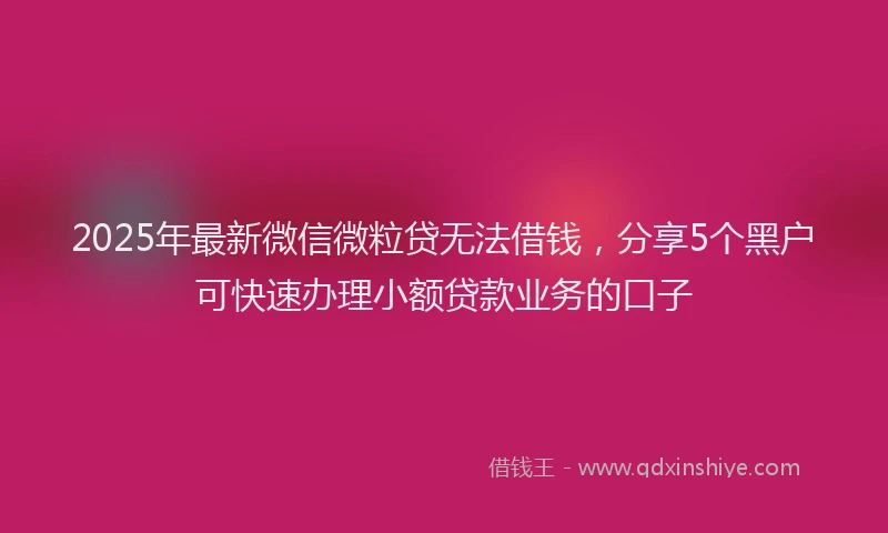 2025年最新微信微粒贷无法借钱，分享5个黑户可快速办理小额贷款业务的口子