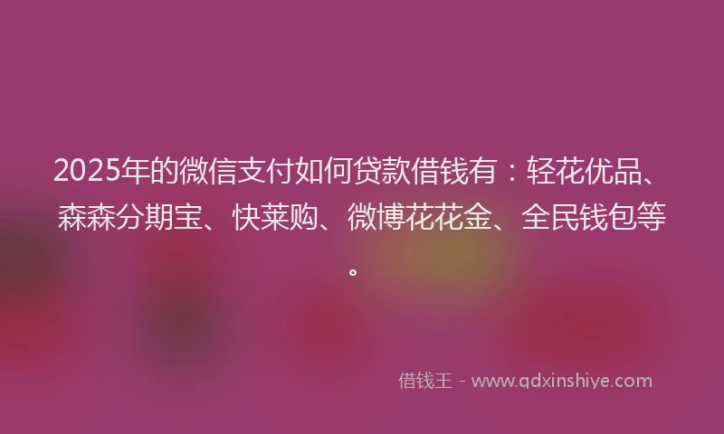2025年的微信支付如何贷款借钱有：轻花优品、森森分期宝、快莱购、微博花花金、全民钱包等。