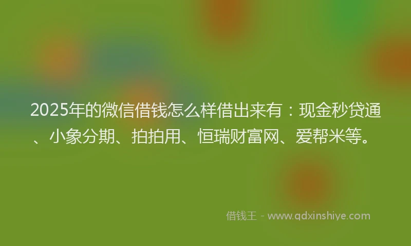 2025年的微信借钱怎么样借出来有：现金秒贷通、小象分期、拍拍用、恒瑞财富网、爱帮米等。
