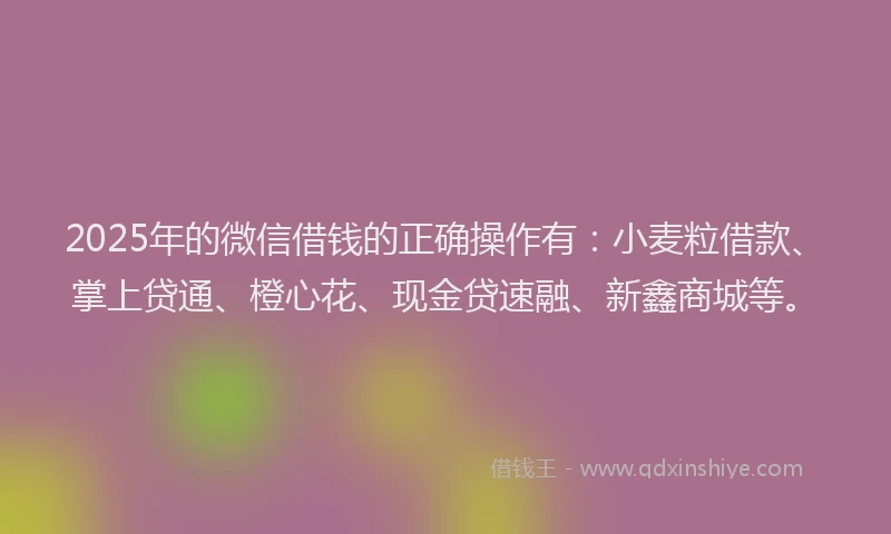 2025年的微信借钱的正确操作有：小麦粒借款、掌上贷通、橙心花、现金贷速融、新鑫商城等。
