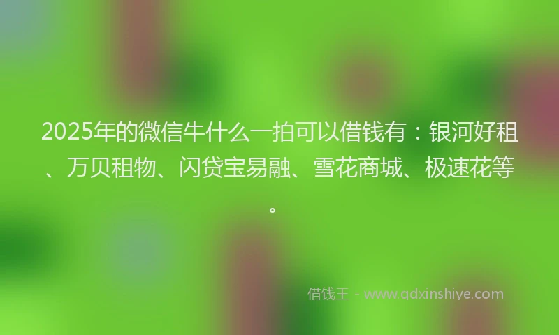 2025年的微信牛什么一拍可以借钱有：银河好租、万贝租物、闪贷宝易融、雪花商城、极速花等。