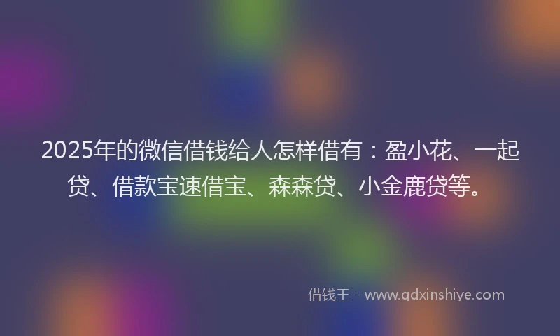 2025年的微信借钱给人怎样借有：盈小花、一起贷、借款宝速借宝、森森贷、小金鹿贷等。