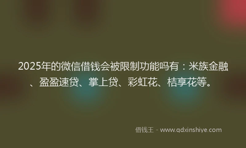 2025年的微信借钱会被限制功能吗有：米族金融、盈盈速贷、掌上贷、彩虹花、桔享花等。