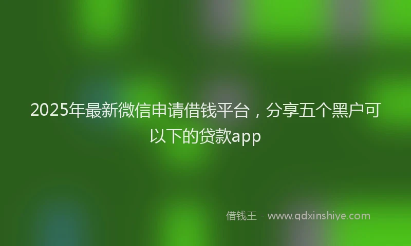 2025年最新微信申请借钱平台，分享五个黑户可以下的贷款app