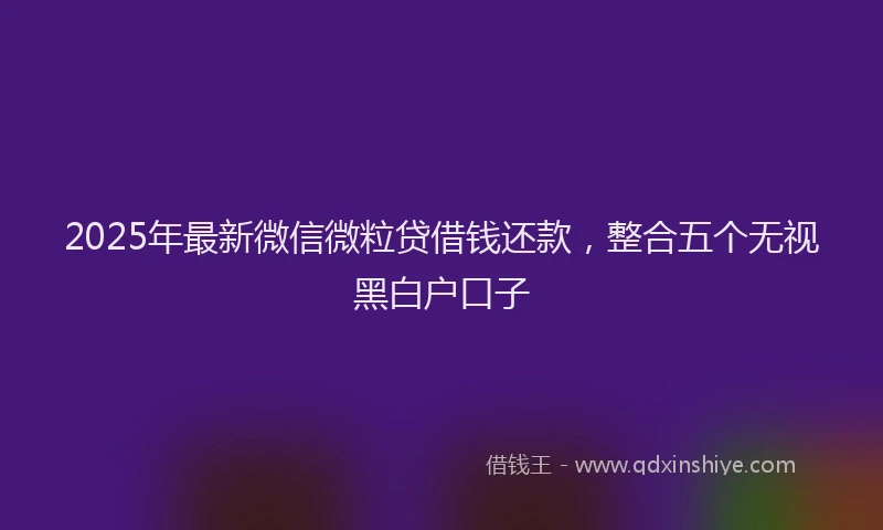 2025年最新微信微粒贷借钱还款，整合五个无视黑白户口子