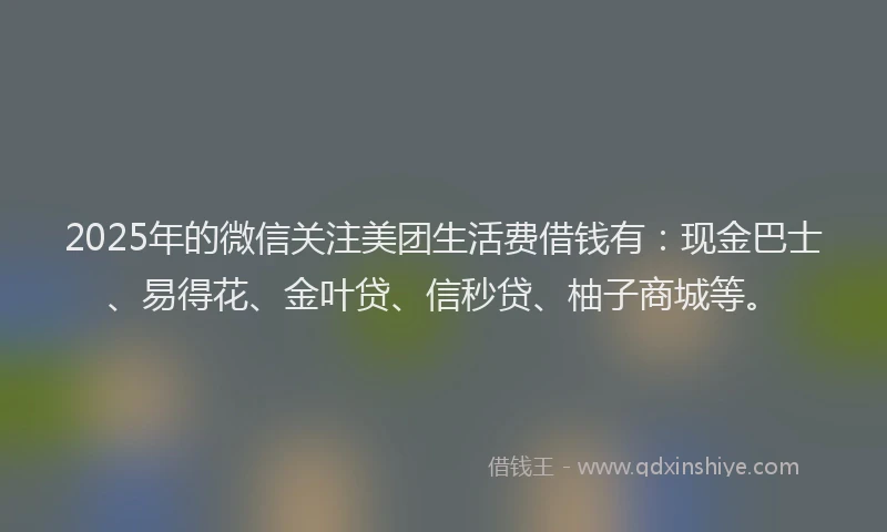 2025年的微信关注美团生活费借钱有：现金巴士、易得花、金叶贷、信秒贷、柚子商城等。