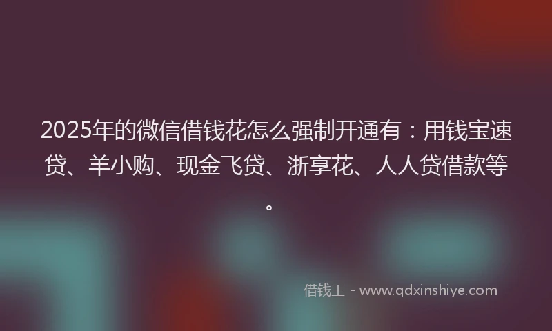 2025年的微信借钱花怎么强制开通有：用钱宝速贷、羊小购、现金飞贷、浙享花、人人贷借款等。