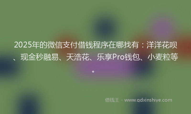 2025年的微信支付借钱程序在哪找有：洋洋花呗、现金秒融易、天浩花、乐享Pro钱包、小麦粒等。
