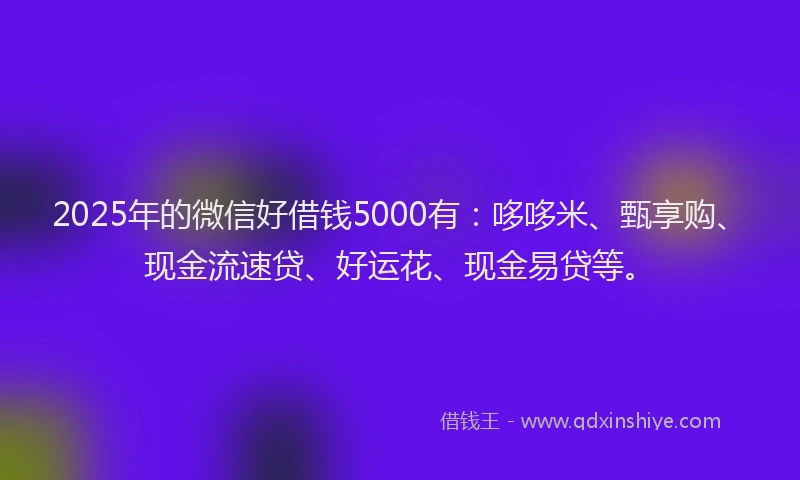 2025年的微信好借钱5000有：哆哆米、甄享购、现金流速贷、好运花、现金易贷等。