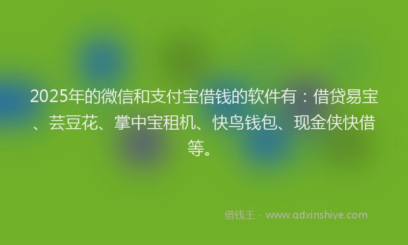2025年的微信和支付宝借钱的软件有：借贷易宝、芸豆花、掌中宝租机、快鸟钱包、现金侠快借等。