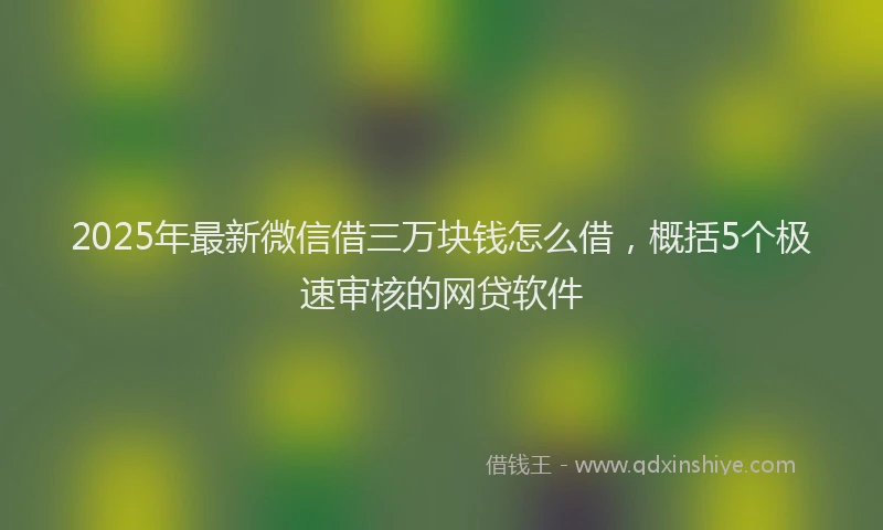 2025年最新微信借三万块钱怎么借，概括5个极速审核的网贷软件
