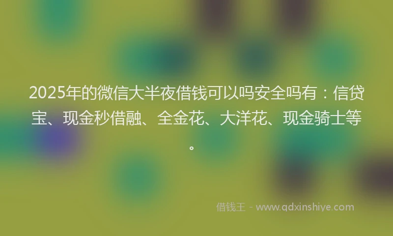 2025年的微信大半夜借钱可以吗安全吗有：信贷宝、现金秒借融、全金花、大洋花、现金骑士等。