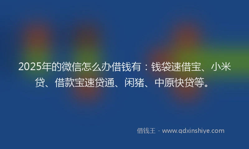 2025年的微信怎么办借钱有：钱袋速借宝、小米贷、借款宝速贷通、闲猪、中原快贷等。