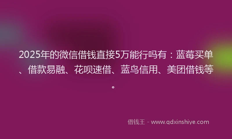 2025年的微信借钱直接5万能行吗有：蓝莓买单、借款易融、花呗速借、蓝鸟信用、美团借钱等。