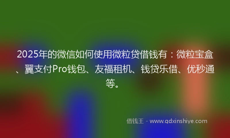 2025年的微信如何使用微粒贷借钱有：微粒宝盒、翼支付Pro钱包、友福租机、钱贷乐借、优秒通等。