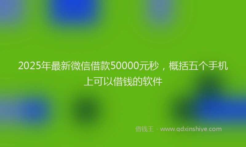 2025年最新微信借款50000元秒，概括五个手机上可以借钱的软件