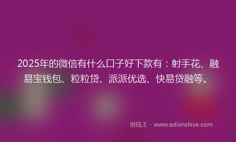 2025年的微信有什么口子好下款有：射手花、融易宝钱包、粒粒贷、派派优选、快易贷融等。
